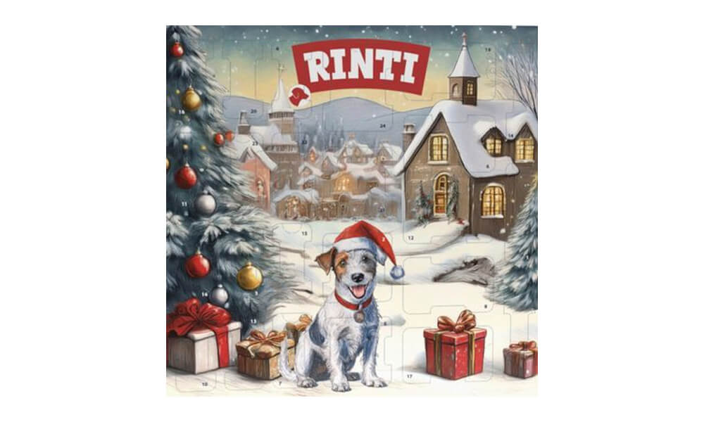RINTI Chicko adventskalender