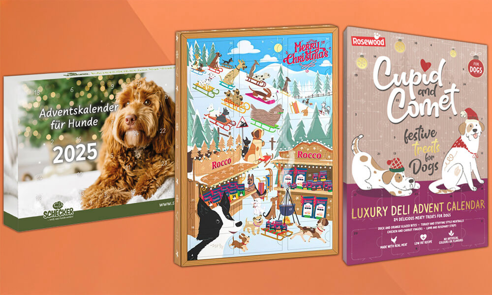 Hond adventskalender