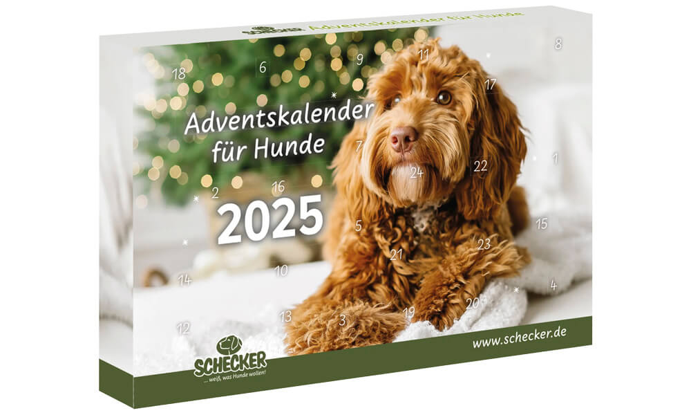 Schecker adventskalender hond